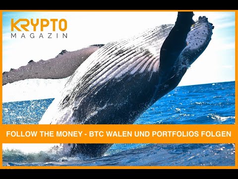 FOLLOW THE MONEY - BTC WALEN UND PORTFOLIOS FOLGEN