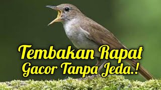 Download lagu MASTERAN TEMBAKAN RAPAT FULL ISIAN GACOR TAK BERJEDA mp3