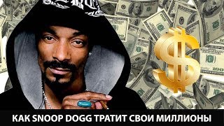 что такое снуп дог. Смотреть фото что такое снуп дог. Смотреть картинку что такое снуп дог. Картинка про что такое снуп дог. Фото что такое снуп дог