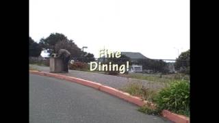 Eureka, CA Tourism Video -- SPOOF