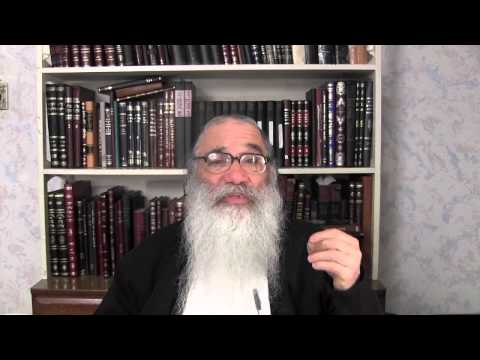 Reb Moshe Feinstein Video II