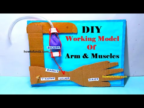 global warming and greenhouse effects working model save earth air pollution diy howtofunda