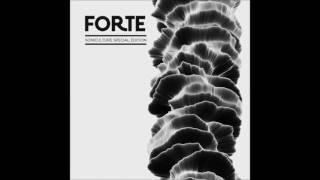 Expander - How Forte Are You (V i L Remix) [SONICULTUREUNLIMITED026]