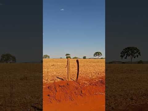 Estrada de terra vermelha - Petrolina de Goiás