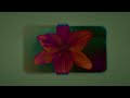 JVKE Her Feat Leon Leiden Macario Martínez Official Lyric Video