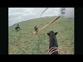 ROPING and DOCTORING wheat pasture cattle with Brent Bennett!