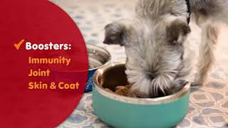 Pet Food Express