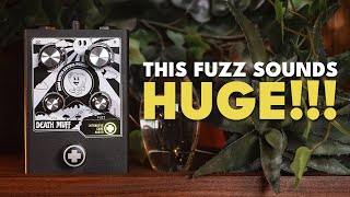 Video thumbnail for Intensive Care Audio Death Muff Demo by The Pedal Zone