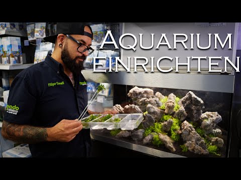 Setting up a shop aquarium - Aquascape in the Oase Highline 200 | Aquado-Zoo Dortmund