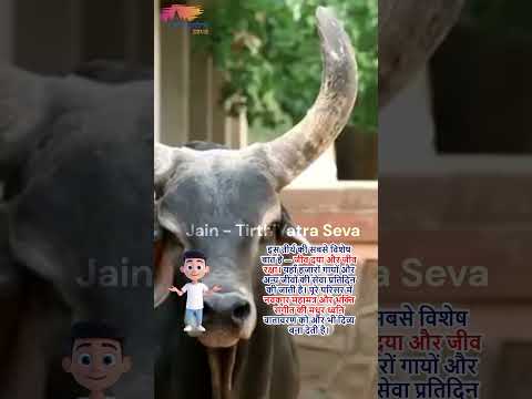 Shree Pavapuri Tirth - Jeev Maitridham | 500 एकड़ में फैला दिव्य जैन तीर्थ