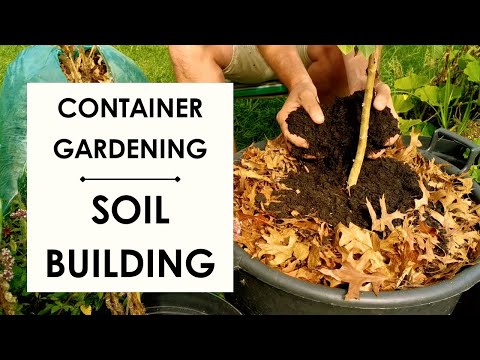 CONTAINER GARDENING: How to build GREAT soil NATURALLY