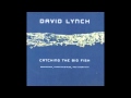 Excerpt from David Lynch's Catching the Big Fish ...