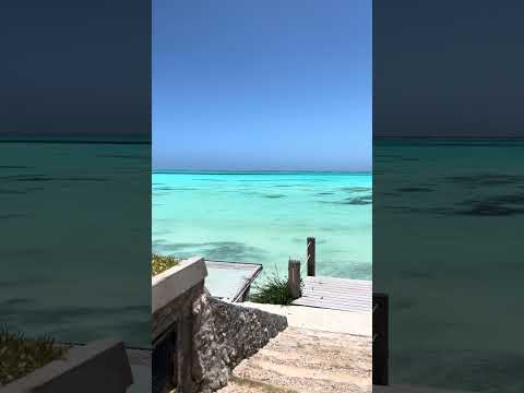 Welcome to Zanzibar! #shorts, #ocean, #zanzibar, #beautiful,