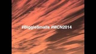MCN 2014: Being Small, Thinking Big