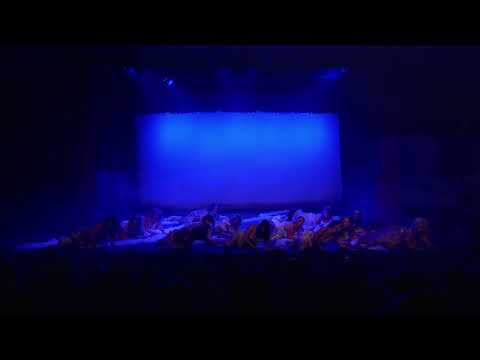 Sh2 12 Boa Burlesque