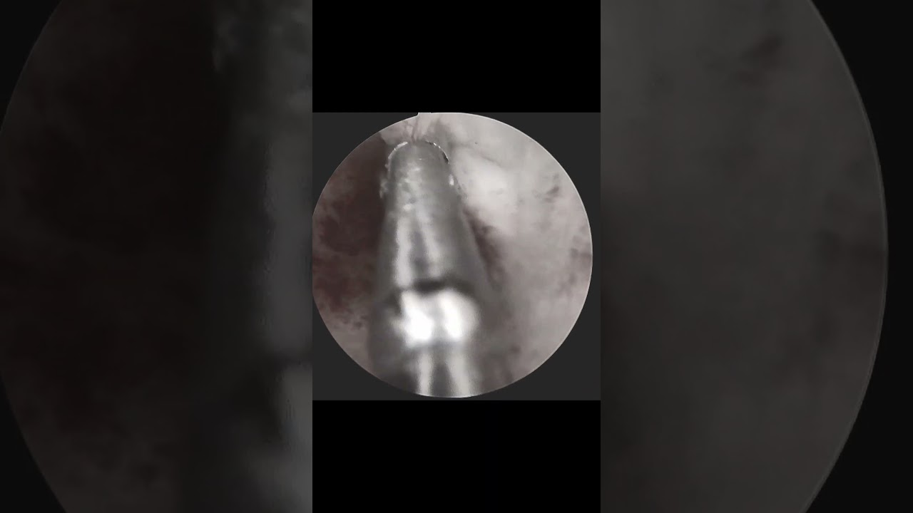 Erika Karina Fuentes Gutiérrez-27