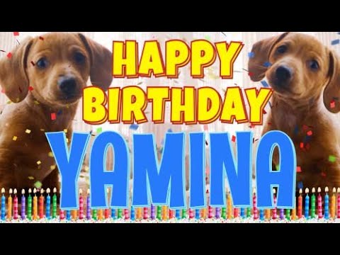 Happy Birthday Yamina! ( Funny Talking Dogs ) What Is Free On My Birthday
