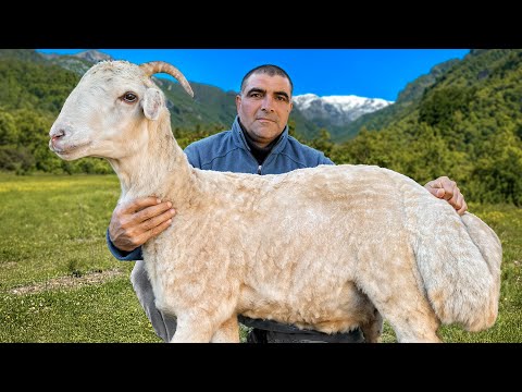 Family-Style BBQ in the Mountains of Azerbaijan – Traditional Flavors