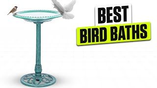 3 BEST Bird Baths