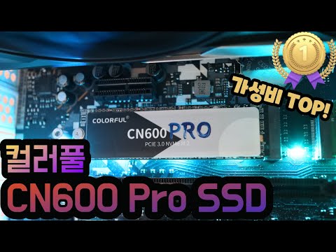 [가성비 SSD] 컬러풀 CN600pro M.2 NVME SSD 1TB 리뷰