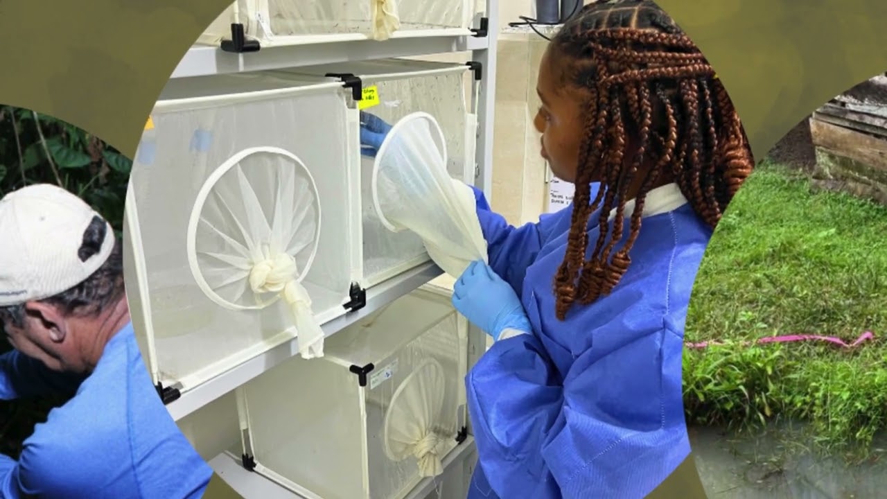 UCMI RESEARCH 2024   ENG