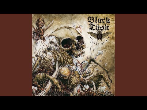 download lagu mp3 mp4 Black Tide Mp3, download lagu Black Tide Mp3 gratis, unduh video klip Black Tide Mp3