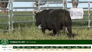 3 Toros PC/PP - Gregorio Aberasturi - Plaza Ganadera