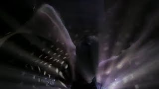 Francisca Valenzuela - Prenderemos fuego al Cielo + &#39;Lyrics &amp; Translation on Screen&#39;