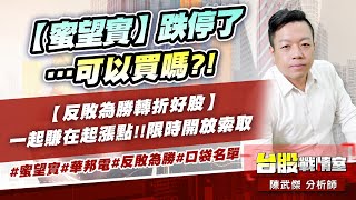 【蜜望實】跌停了…可以買嗎?! 【反敗為勝轉折好股】一起賺在起漲點!!限時開放索取…#蜜望實#華邦電#反敗為勝#口袋名單｜小武哥投資事務所｜陳武傑 (圖)