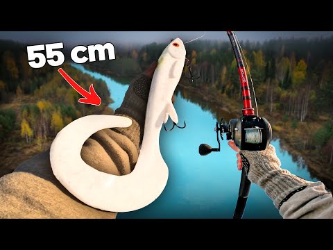 GIANT vs "Big" Lures (50+ cm vs 25 cm) for Pike Fishing... 🐊