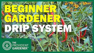 Beginner-Friendly Drip Irrigation System: Save Water, Kill Weeds, Grow Better