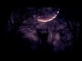 Swallow The Sun - New Moon 