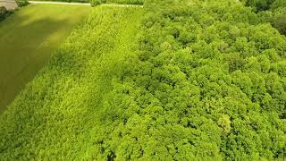 Jackson-Washington State Forest Planting