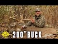 BRUTUS 200 MEGA GIANT Pennsylvania Buck