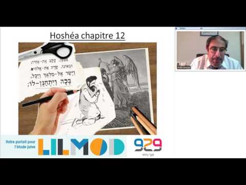 929 Rony Akrich - Hoshéa chapitre 11 à 14