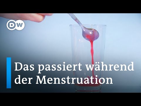 Menstruation: Was im Körper passiert, wenn es blutet | Sex & the Body 3