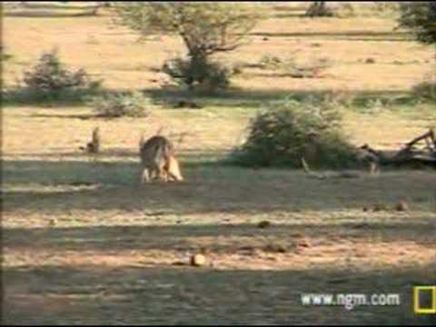 Pete's Pond Impala Spar 12/09/06