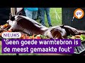 Barbecueën op 'Champions League'-niveau, zo gaat dat