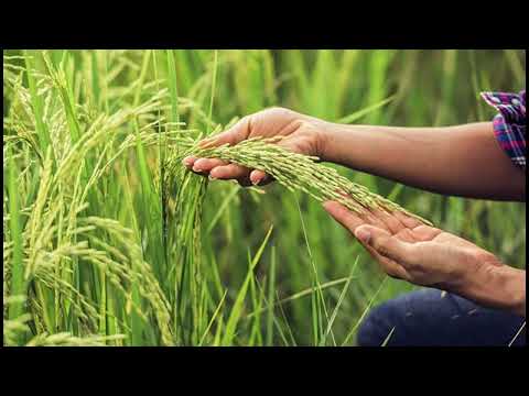 SAN SALVADOR ENTRE RIOS EN FOTOS 2026