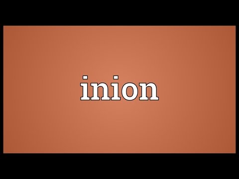 Inion Meaning