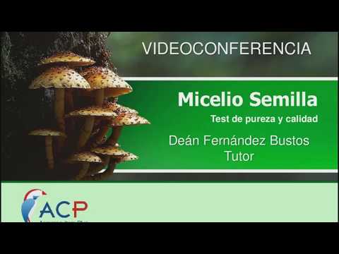 , title : 'Calidad en Micelio Semilla para Hongos Comestibles y Medicinales :: VideoConferencia'