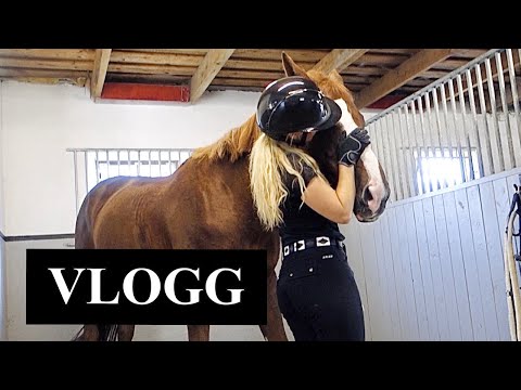 VLOGG *Blev inte som tänkt*
