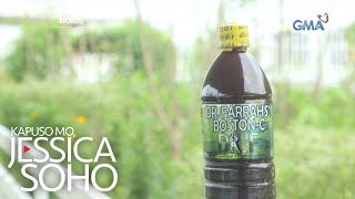Kapuso Mo, Jessica Soho: Lunas o peligro?