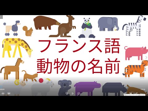 フランス語での犬の名前