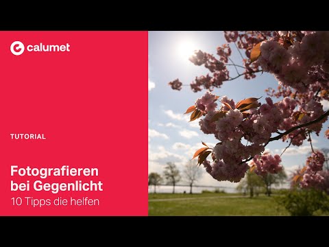 Fotografieren bei Gegenlicht - 10 Tipps die helfen