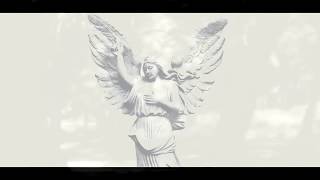 Anathema | The Beloved | Lyrics