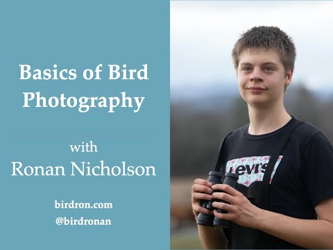 Session 88 - Basics of Bird Photography with Ronan Nicholson