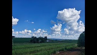 Condições típicas de Verão nos próximos dias 🌤🔥🌡⛈️