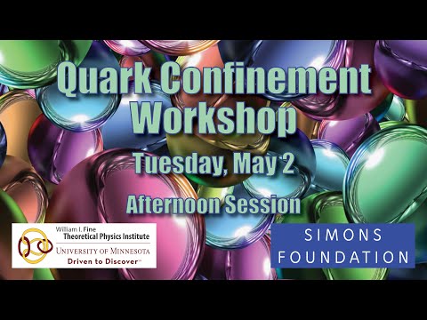 Quark Confinement Workshop - Tuesday, May 2 - Afternoon Session