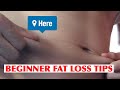 Beginner Upper Body Workout | How To Lose STUBBORN BELLYFAT